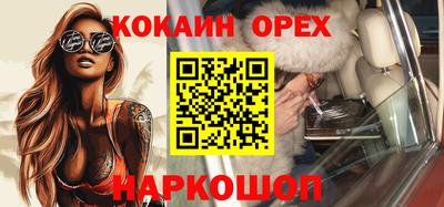 гидра Будённовск