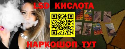 гидра Будённовск