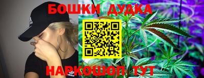 гидра Будённовск