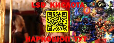 гидра Будённовск